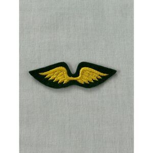 Vintage Girl Scouts Badge/Patch Wings, Brownie Fly Up Patch